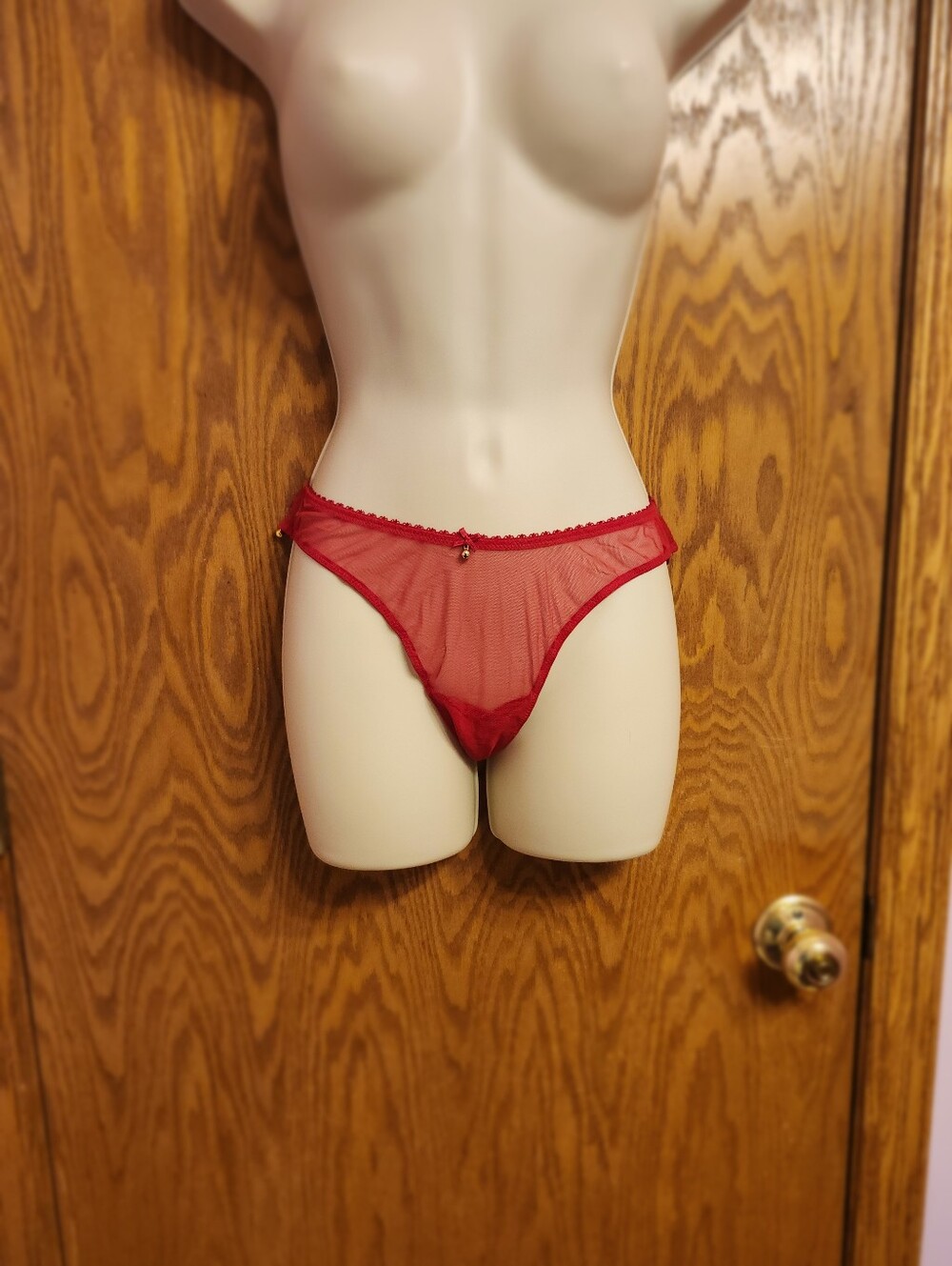 Victoria"s Secret Sheer Red Bikini Panty with Delicate Charm - Women's Intimates